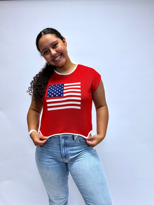 American Flag Knit Top