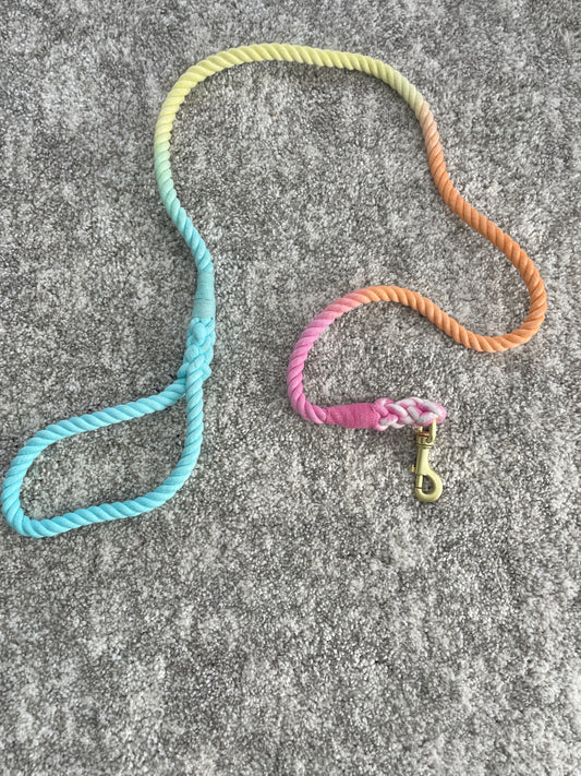 Hand Dyed Cotton Rope Leash